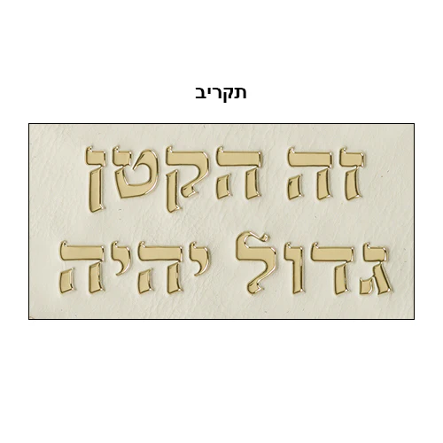 תמונה ממוזערת 2