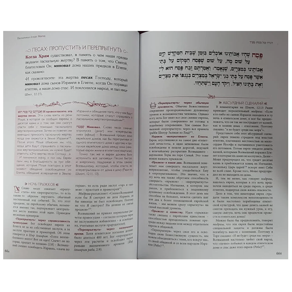 תמונה ממוזערת 2