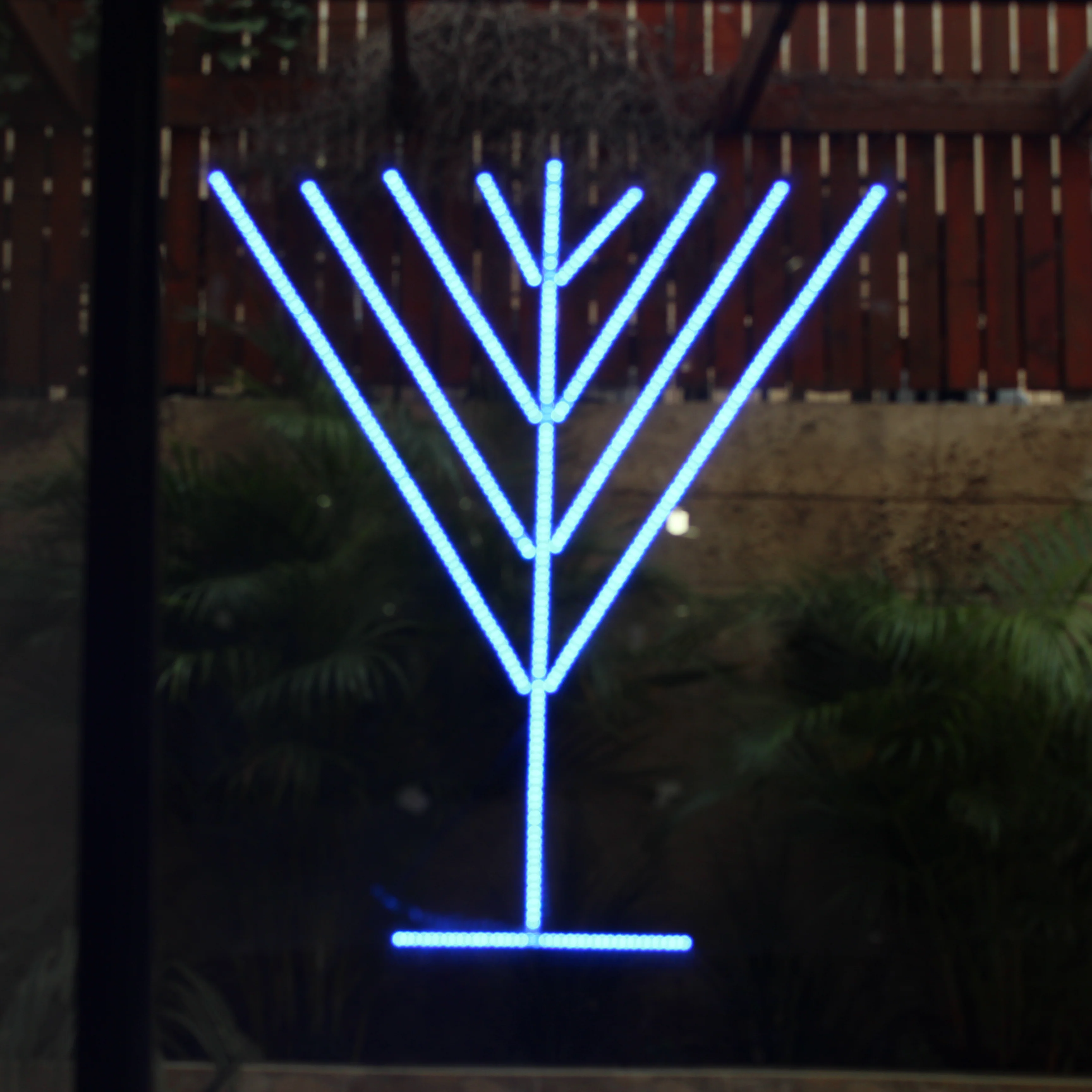 תמונה ממוזערת 1