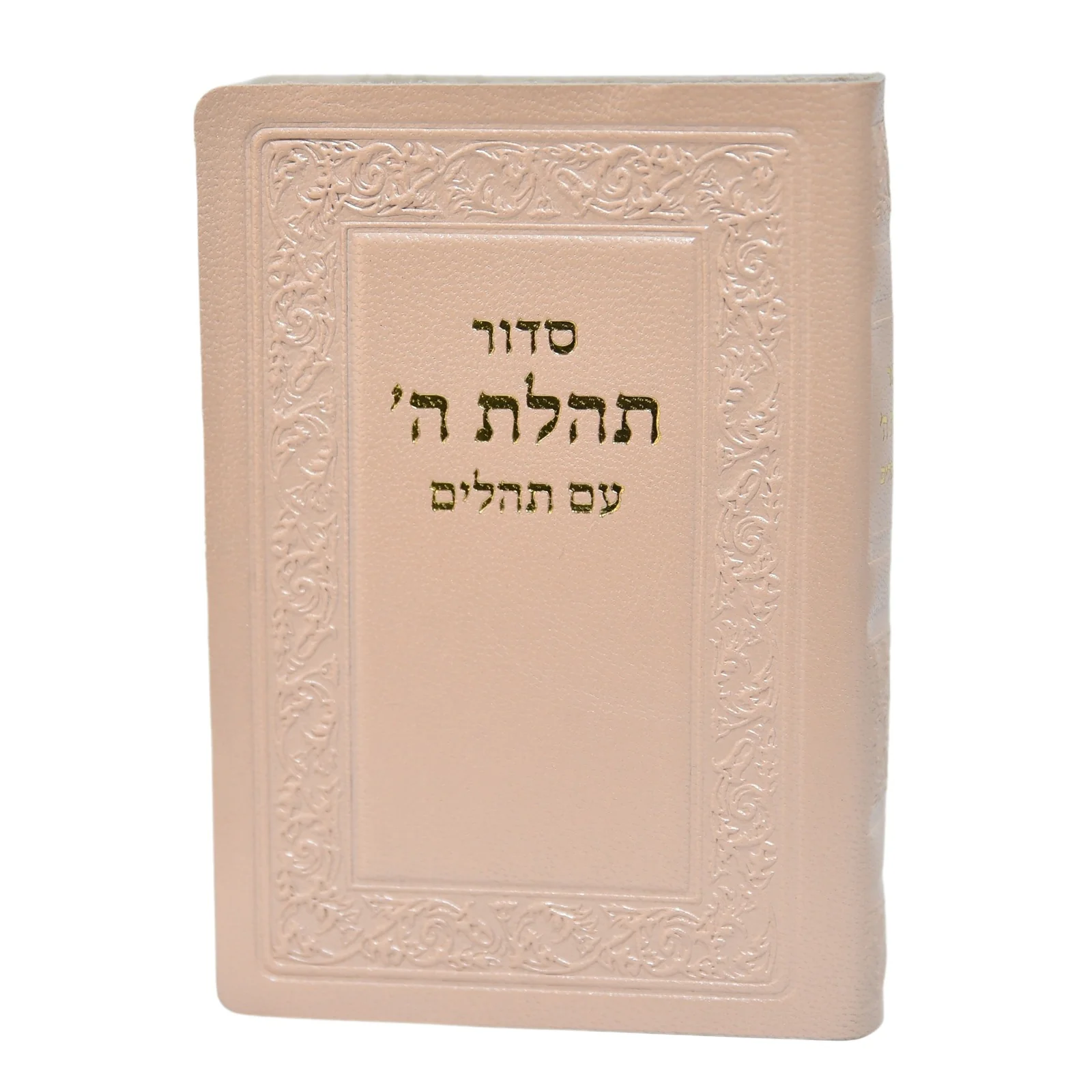חת"ת בכריכת עור - הוצאה ישנה - Image 13