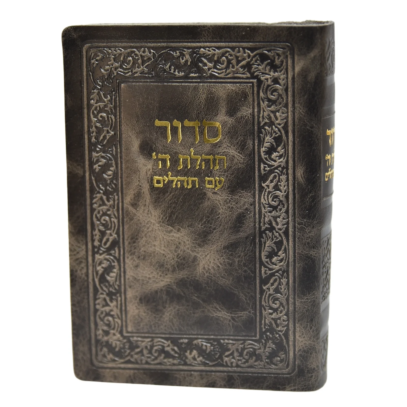תמונה ממוזערת 2