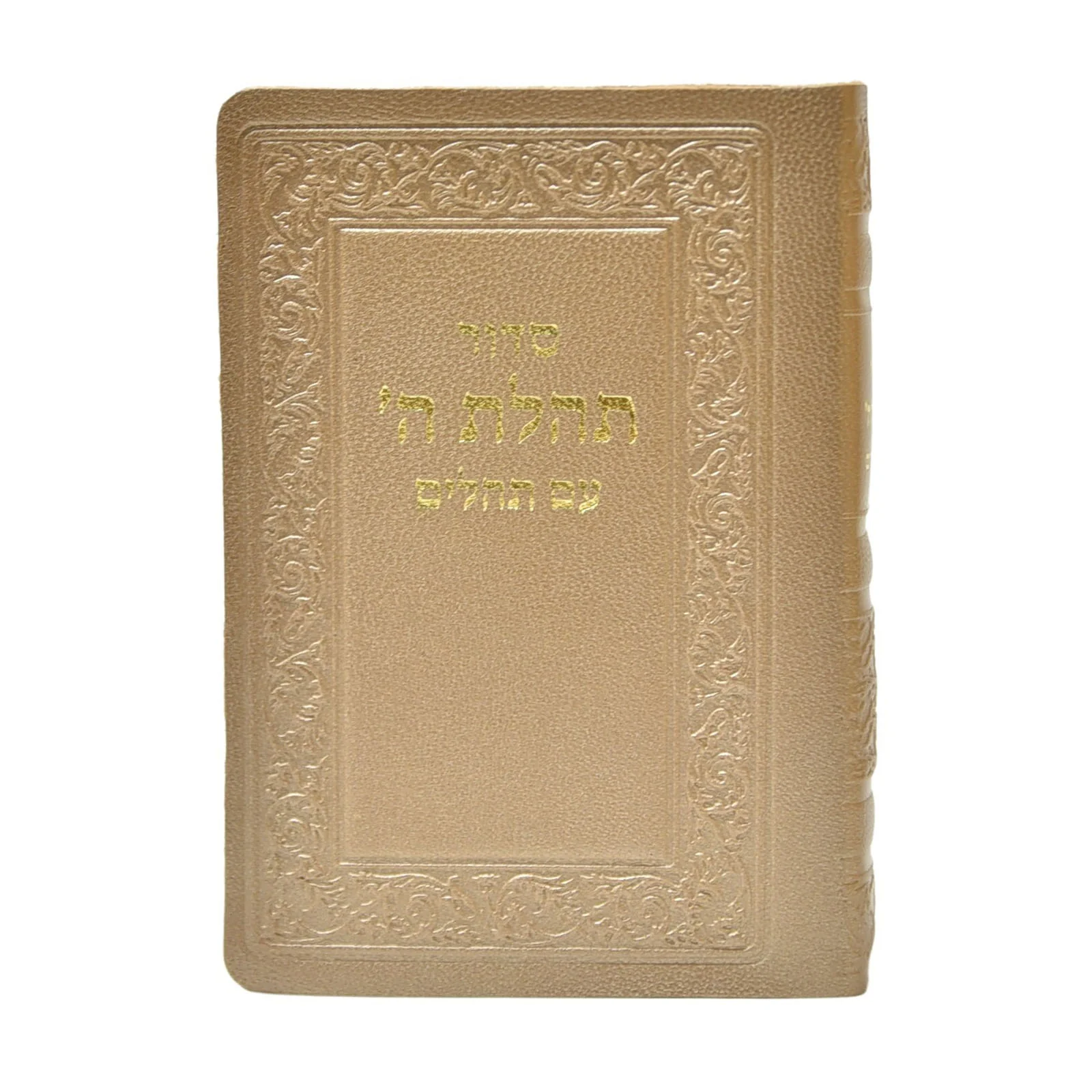 חת"ת בכריכת עור - הוצאה ישנה - Image 23