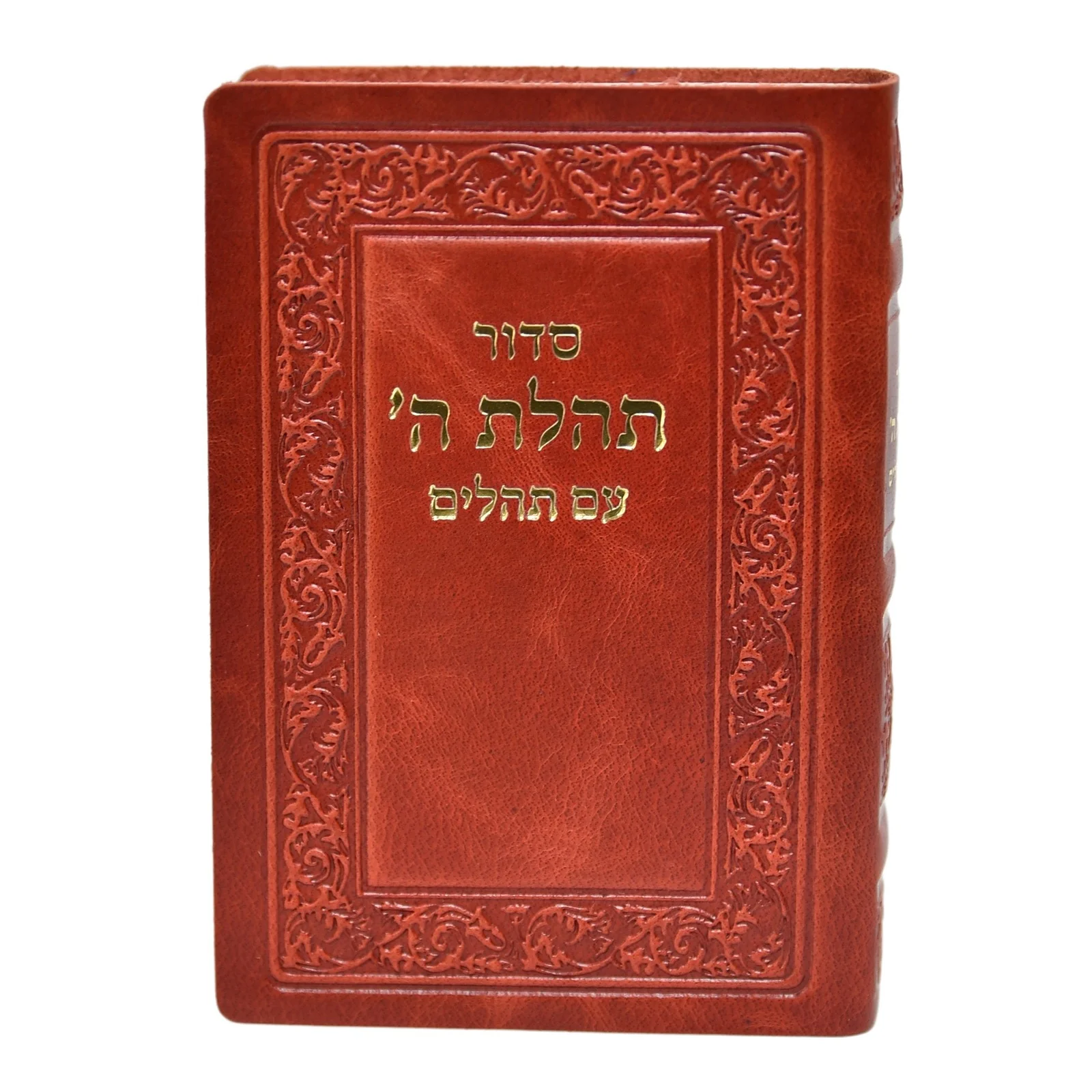 חת"ת בכריכת עור - הוצאה ישנה - Image 4