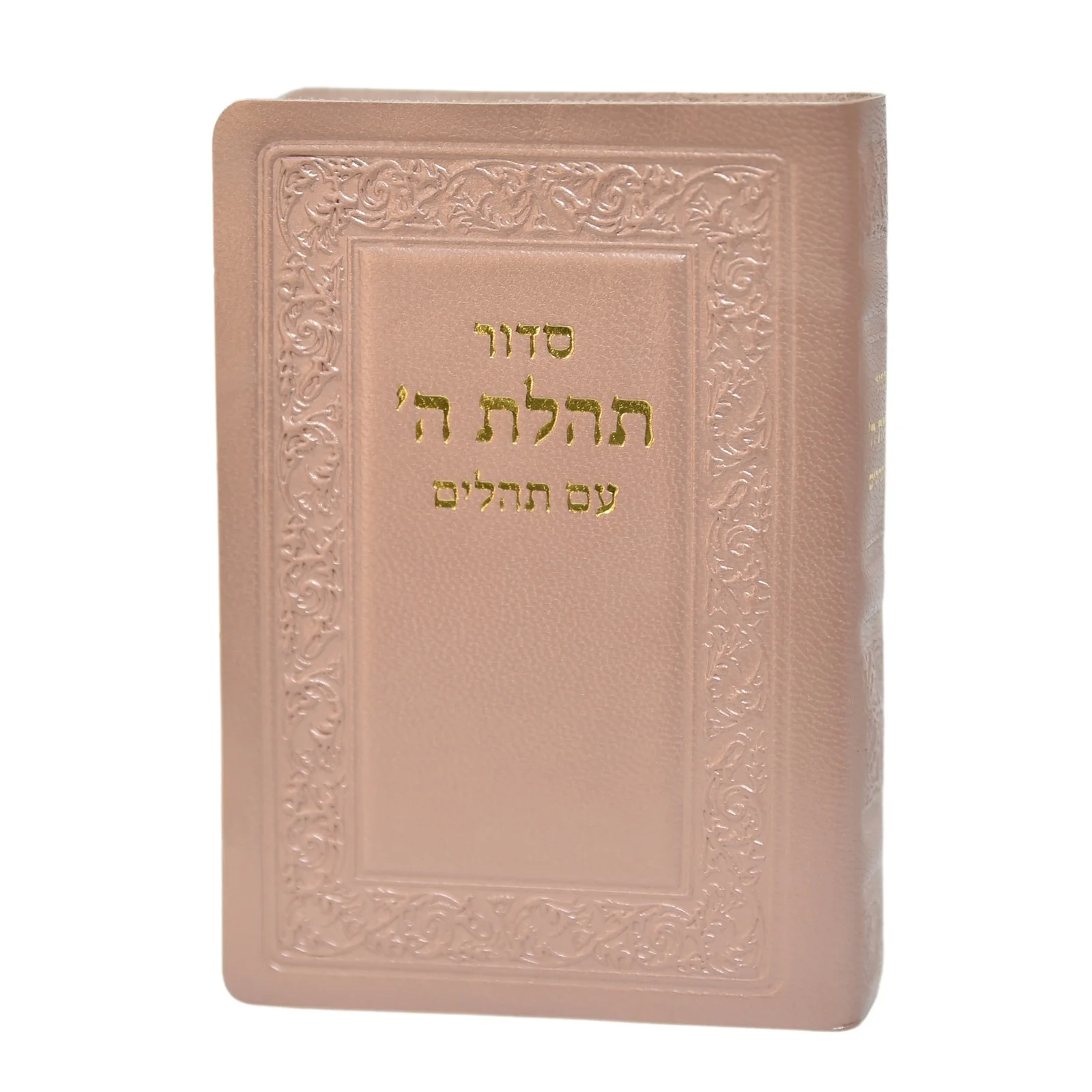 חת"ת בכריכת עור - הוצאה ישנה - Image 6