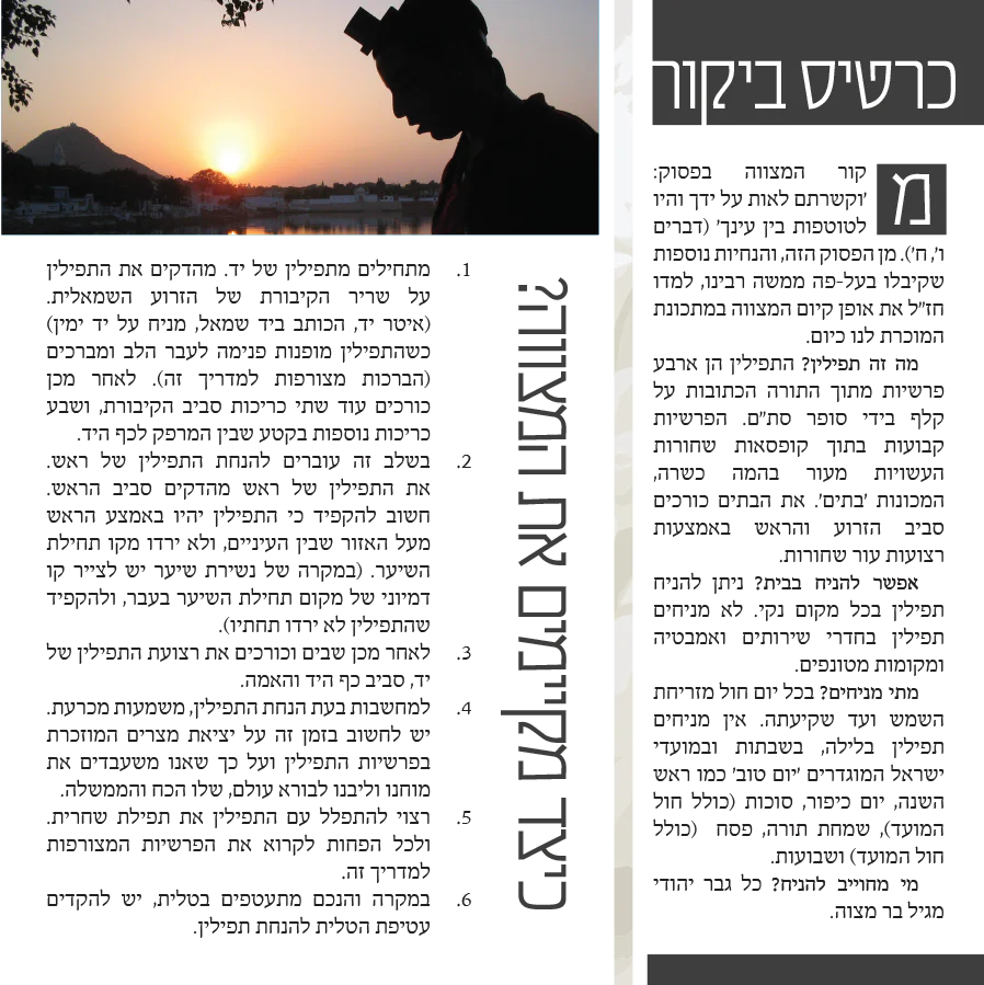 תמונה ממוזערת 2