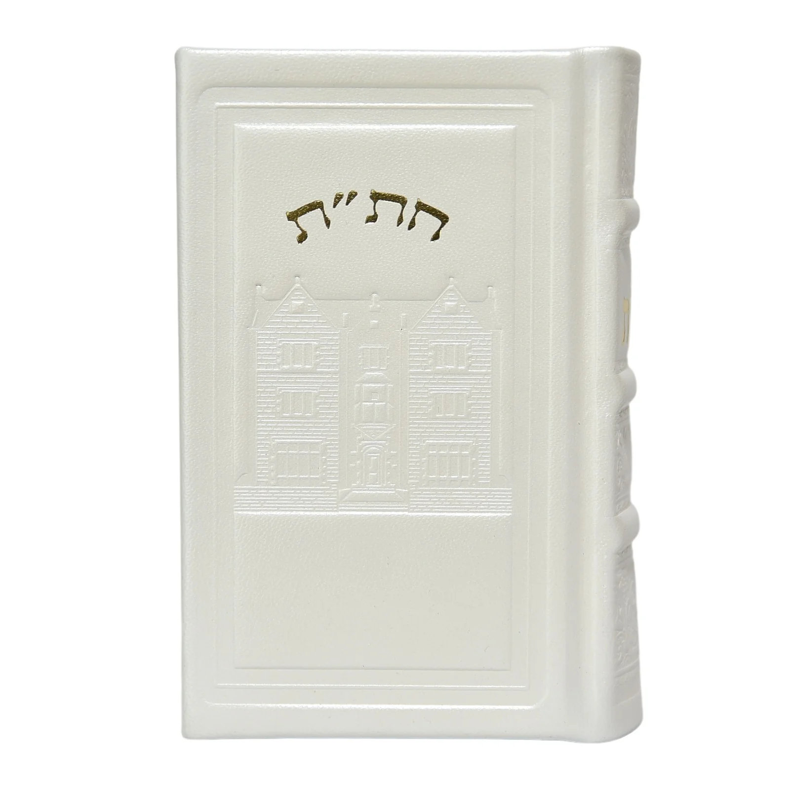 תמונה ממוזערת 2