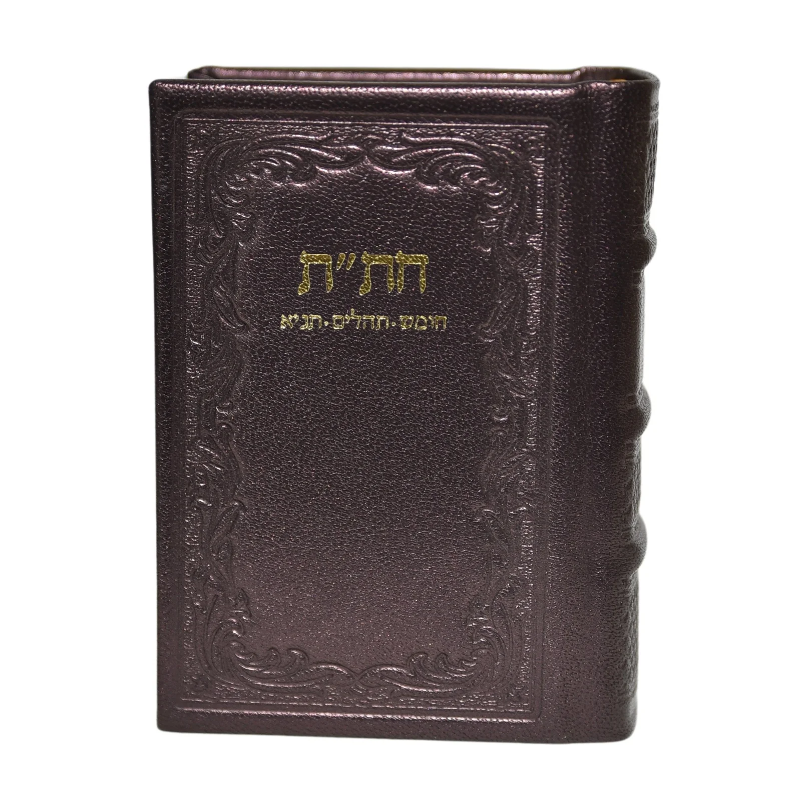 חת"ת בכריכת עור - מהדורה חדשה - Image 15