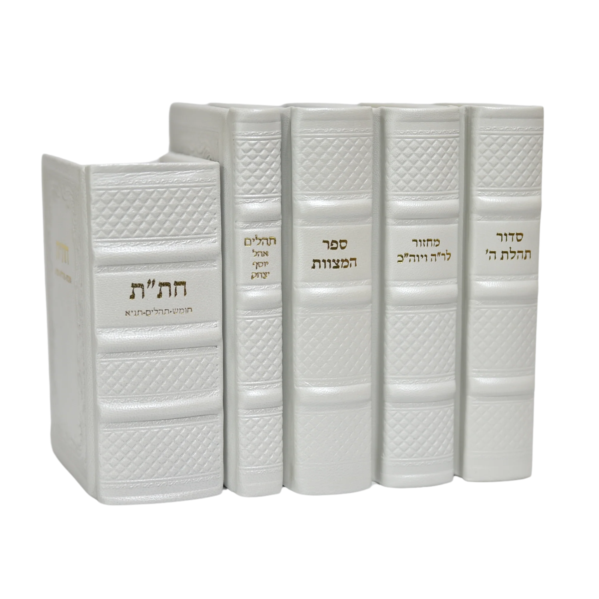 סט לכלה מעור - הוצאה חדשה עם הנהגות - Image 4