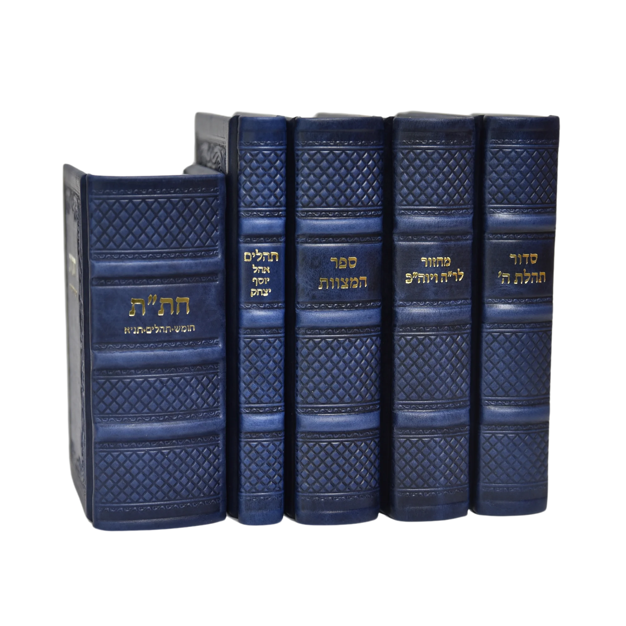 סט לכלה מעור - הוצאה חדשה עם הנהגות - Image 5