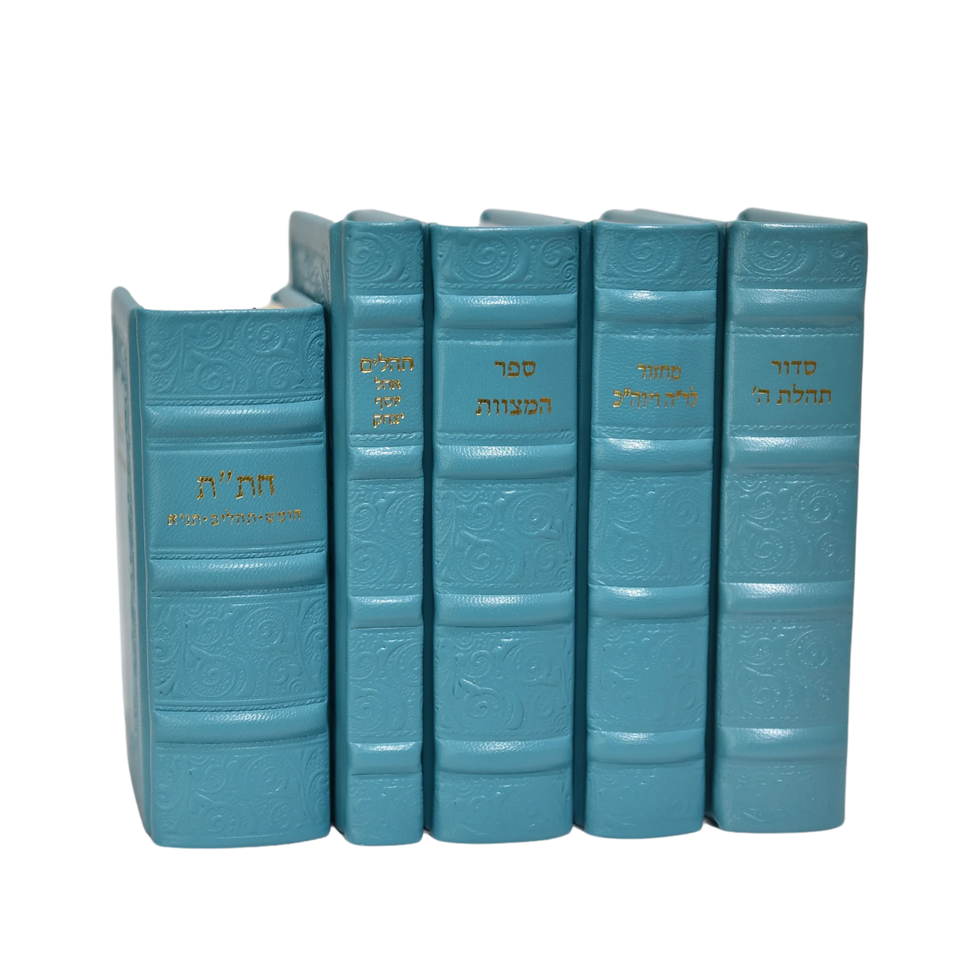 סט לכלה מעור - הוצאה חדשה עם הנהגות - Image 6