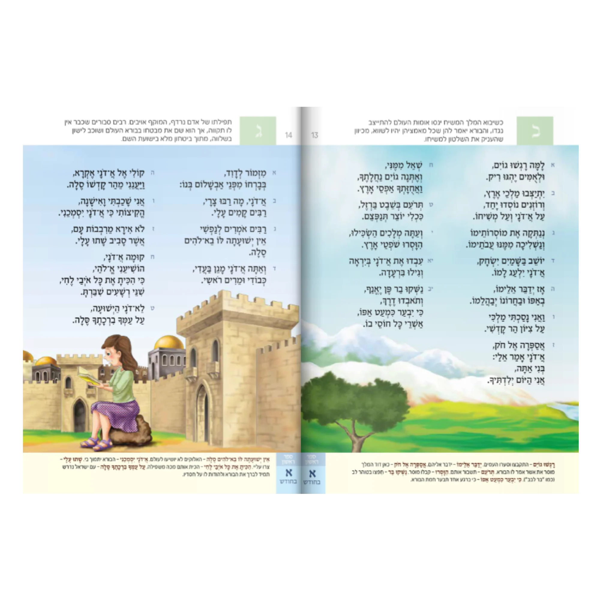 תמונה ממוזערת 2