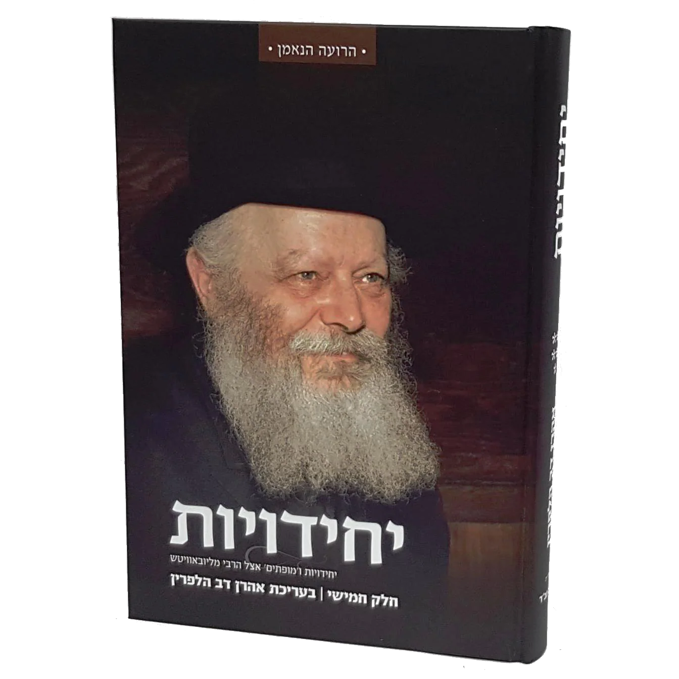 יחידויות - אישים מספרים על היחידות עם הרבי - Image 3